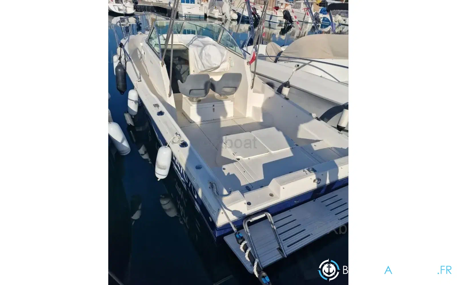 slider 10 Kelt White Shark 237