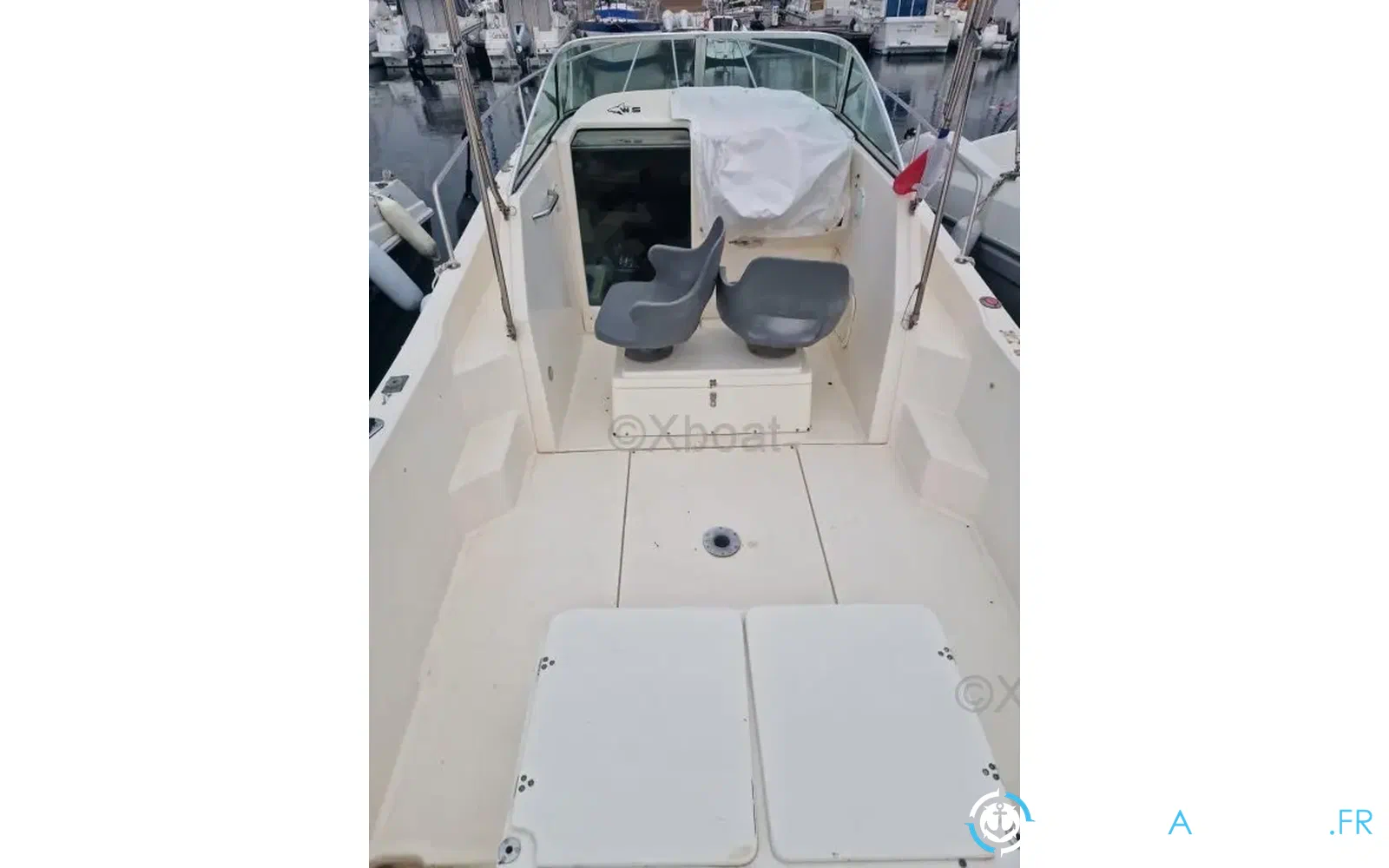 slider 11 Kelt White Shark 237