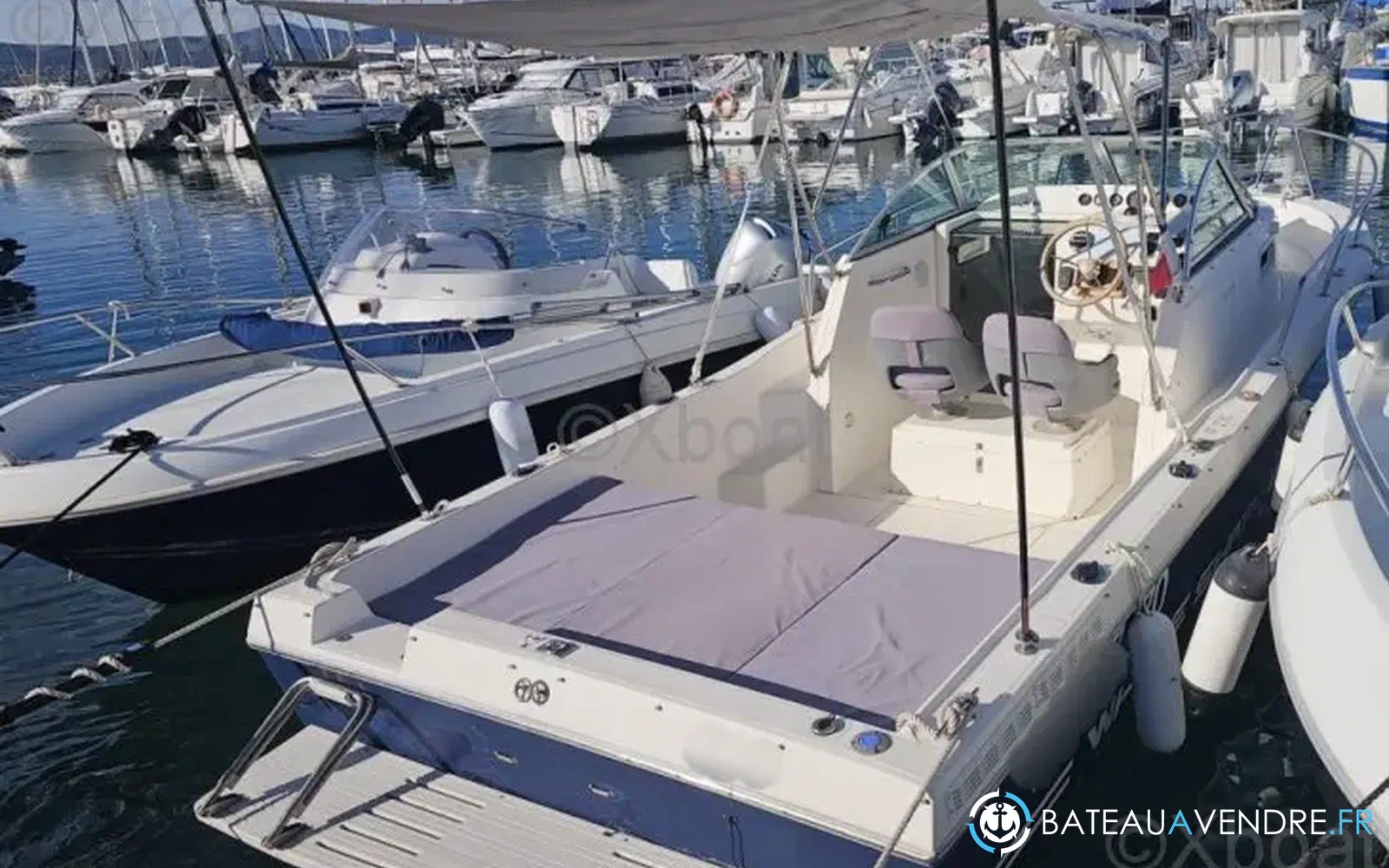 slider 1 Kelt White Shark 237