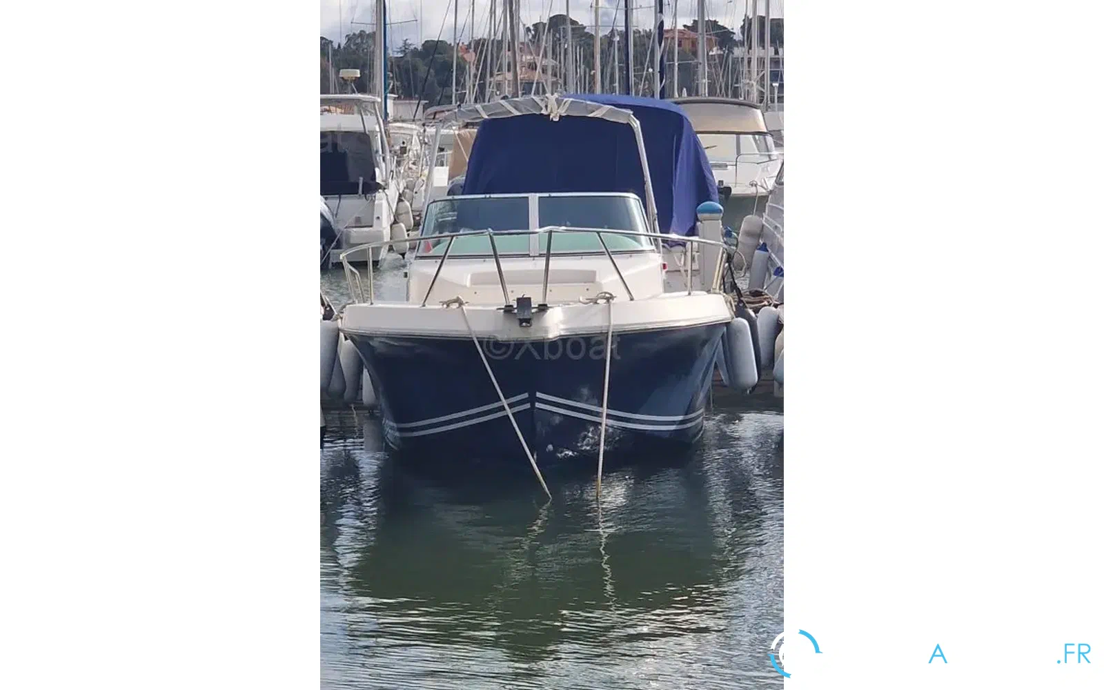 slider 2 Kelt White Shark 237