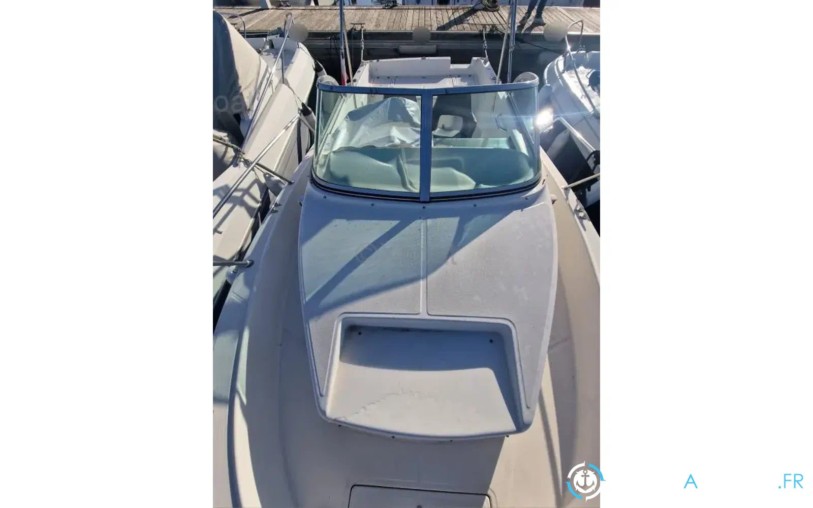 slider 6 Kelt White Shark 237