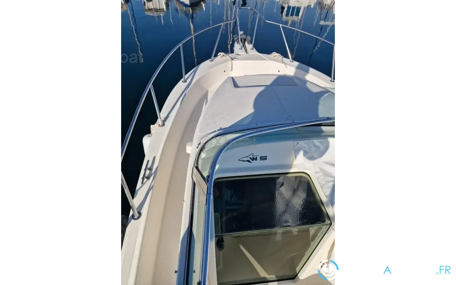 slider 8 Kelt White Shark 237