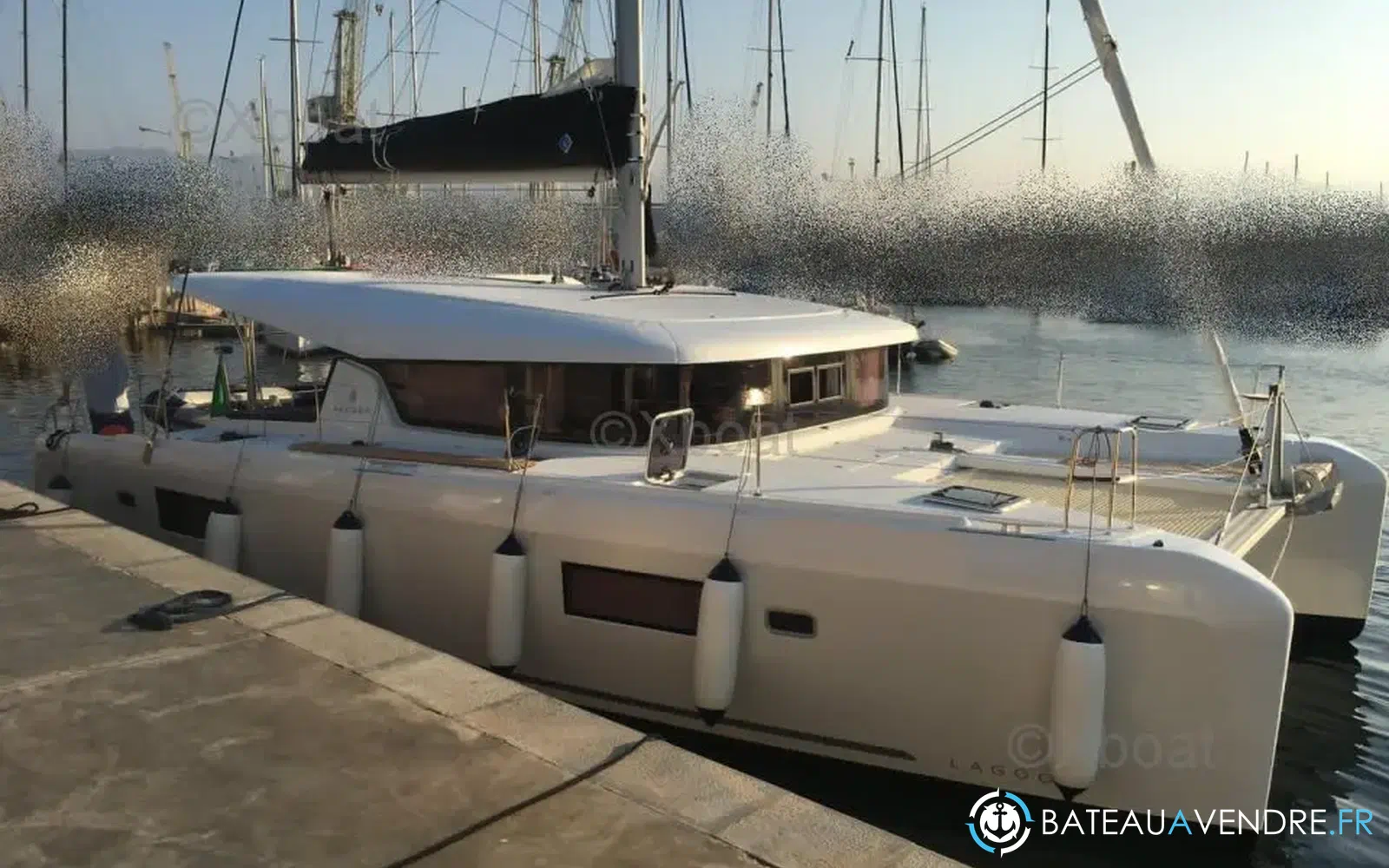 slider 0 Lagoon 42