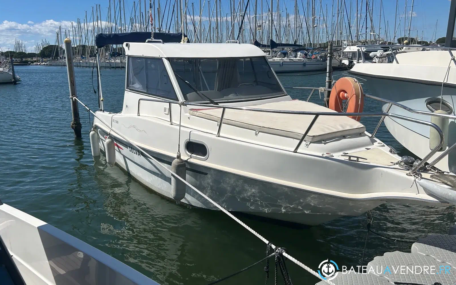 slider 2 Selva F6.5 Cabin Plus