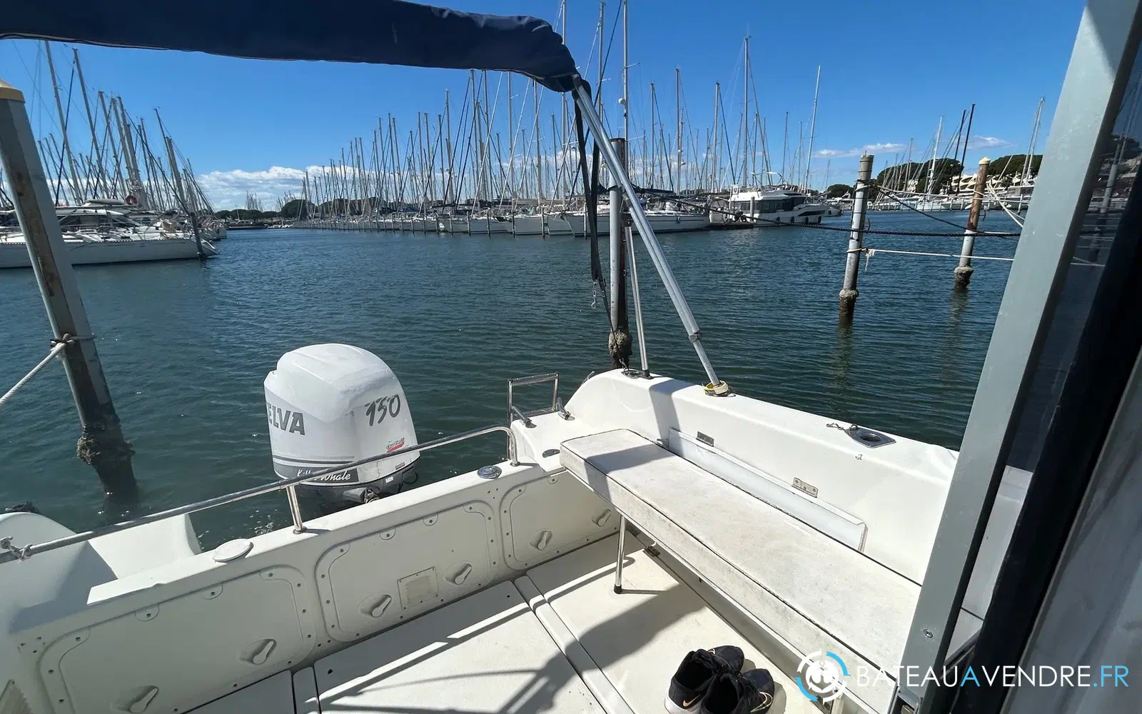 slider 8 Selva F6.5 Cabin Plus