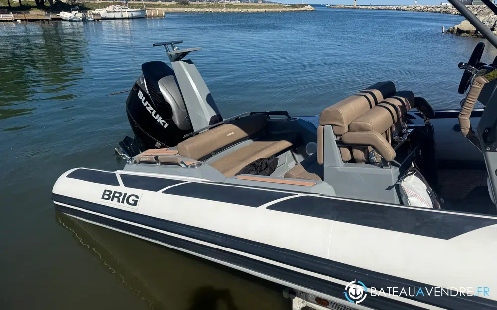 Brig Eagle 8  photo 5