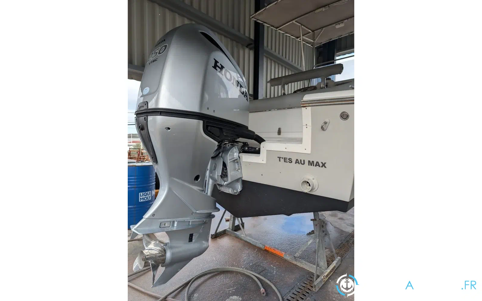 slider 6 Kelt White Shark 225