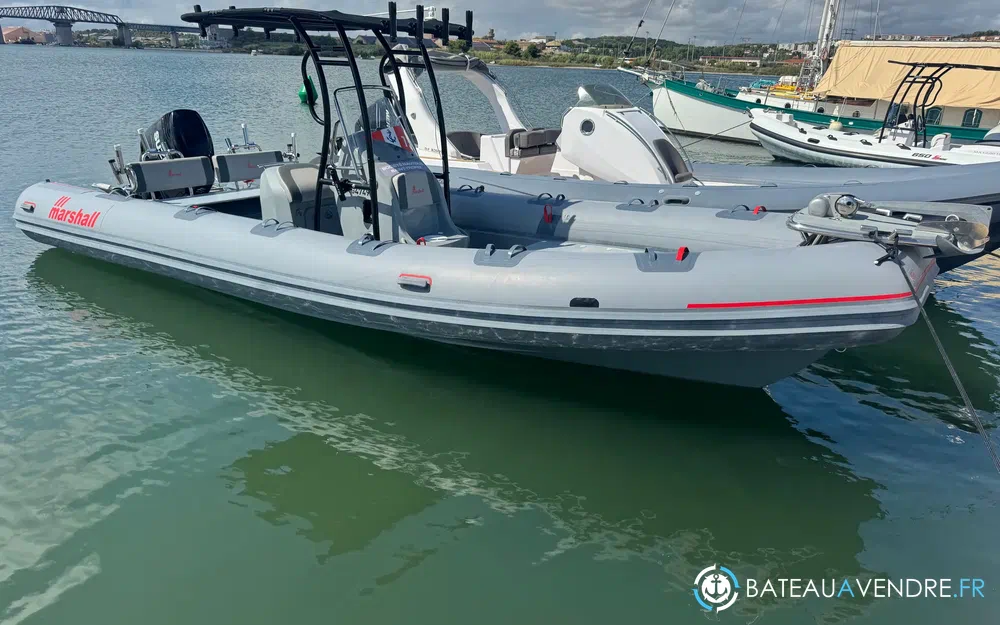 Marshall M6 Touring  photo 2