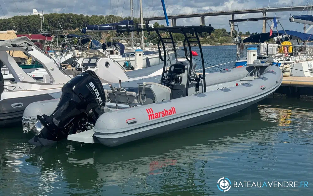 Marshall M6 Touring  photo 4