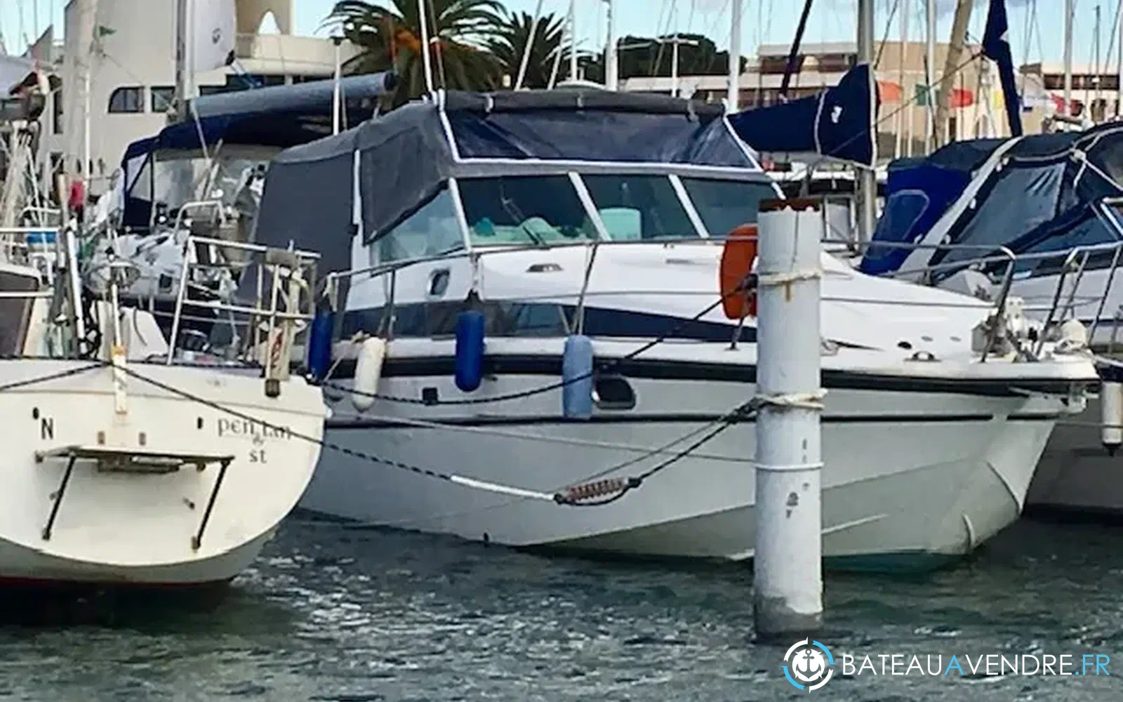 slider 13 Kelt Ocean 1010