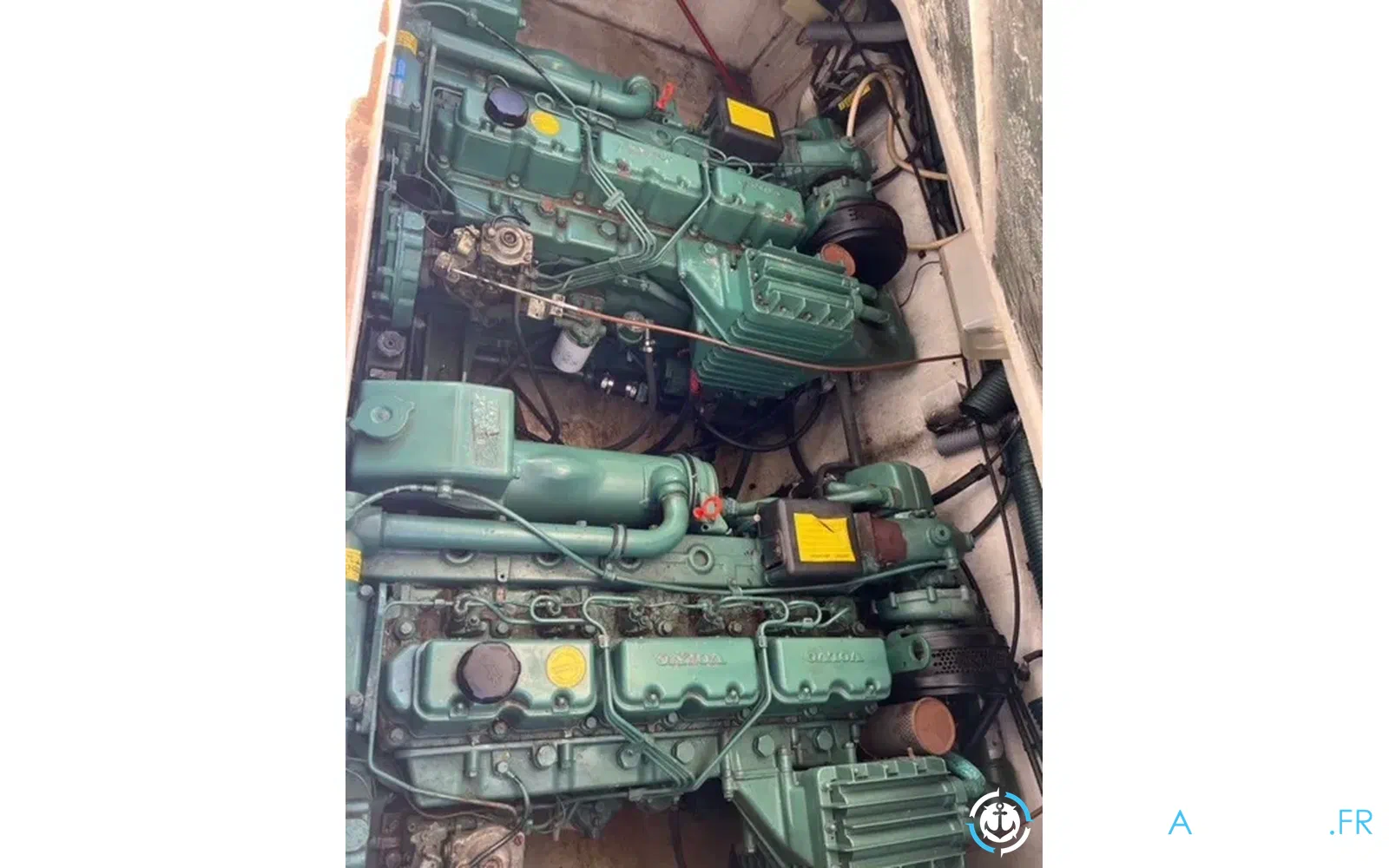 slider 5 Kelt Ocean 1010