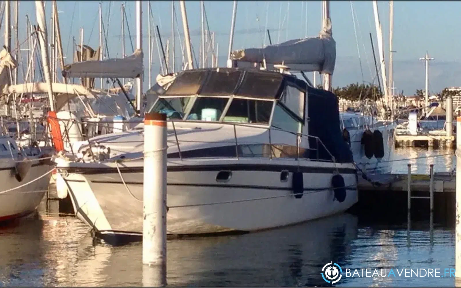 slider 10 Kelt Ocean 1010