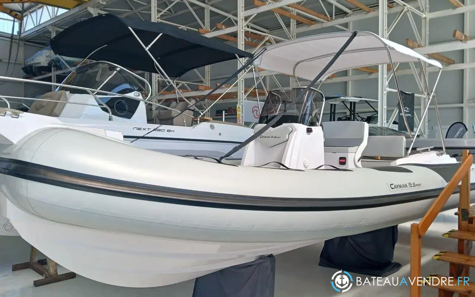 slider 3 Ranieri Cayman 19 Sport