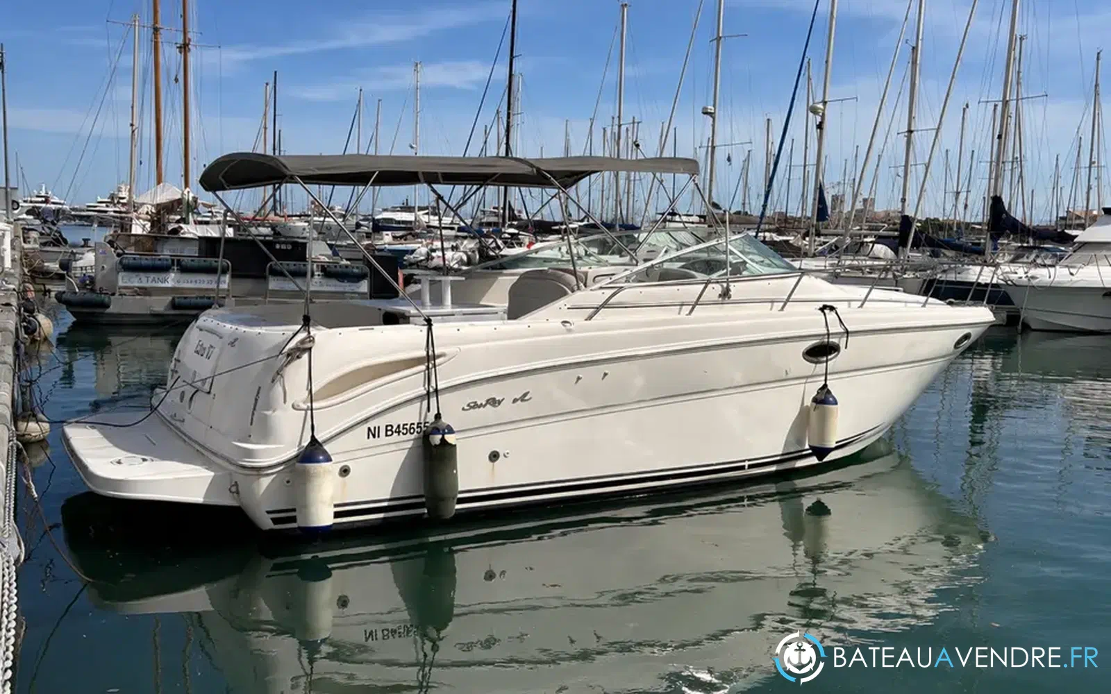 slider 0 Sea Ray Amberjack 290
