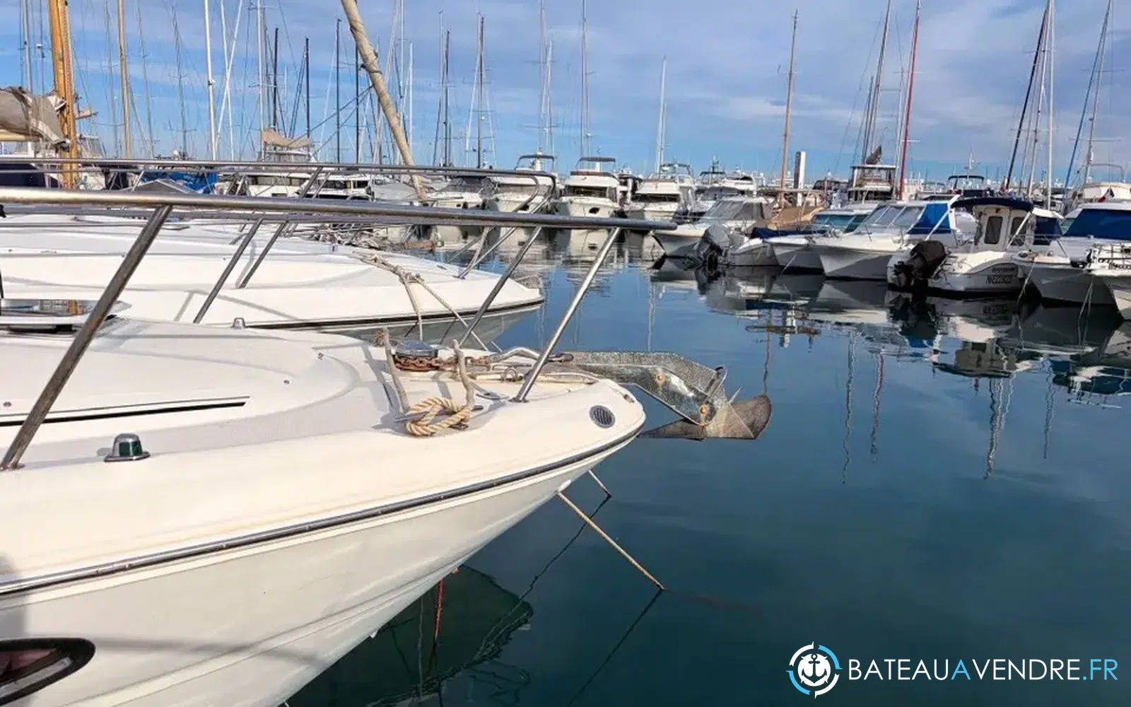 slider 13 Sea Ray Amberjack 290