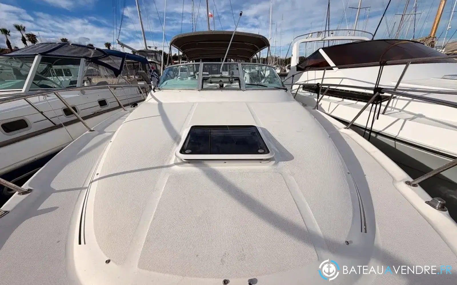 slider 14 Sea Ray Amberjack 290