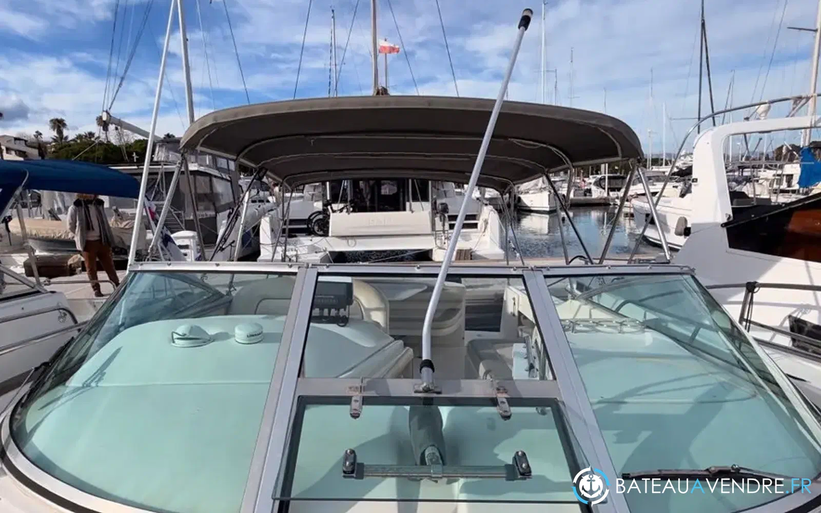 slider 15 Sea Ray Amberjack 290