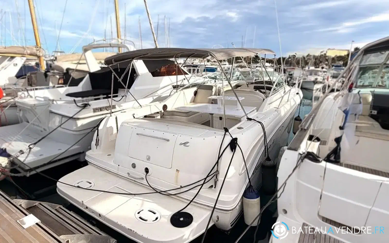 slider 1 Sea Ray Amberjack 290