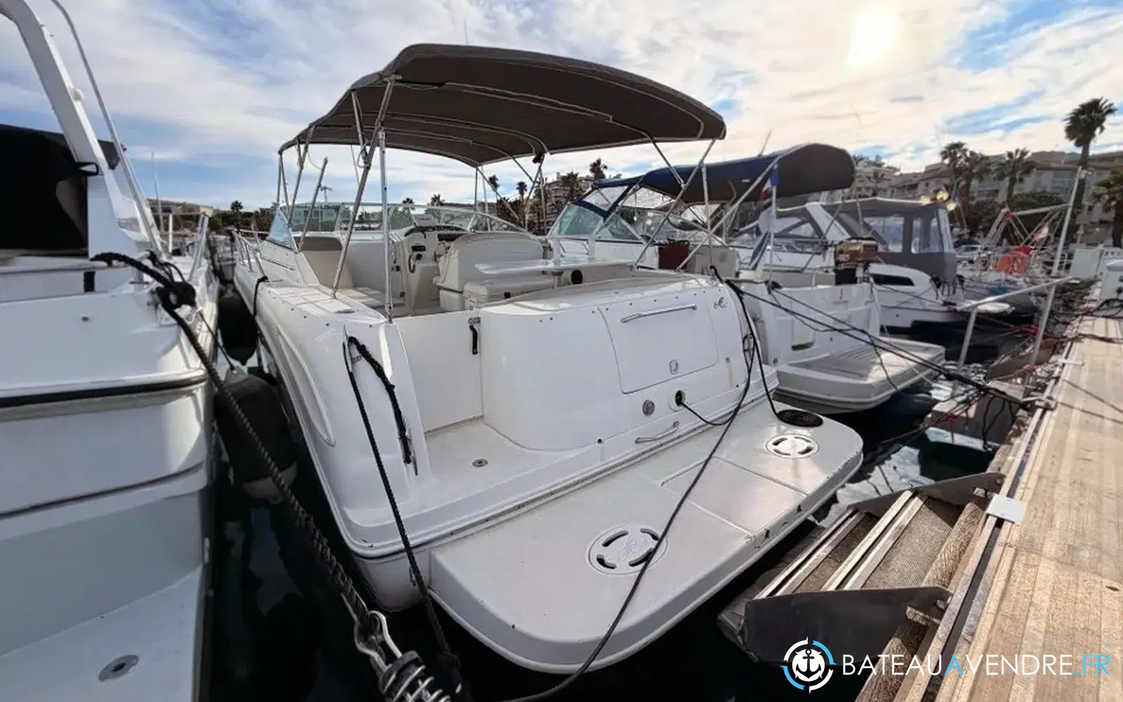 slider 3 Sea Ray Amberjack 290