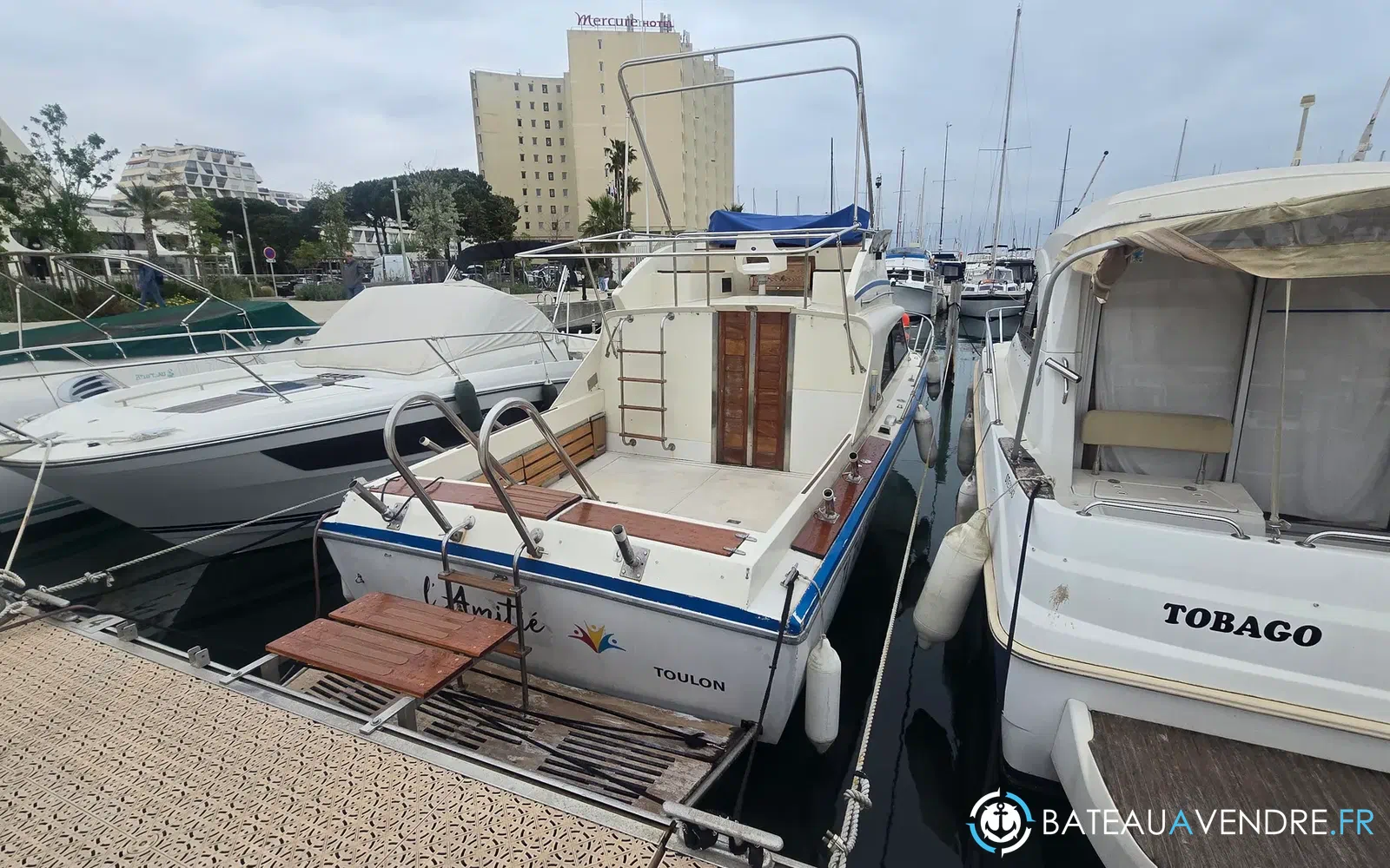 slider 1 Seabird Condor 29