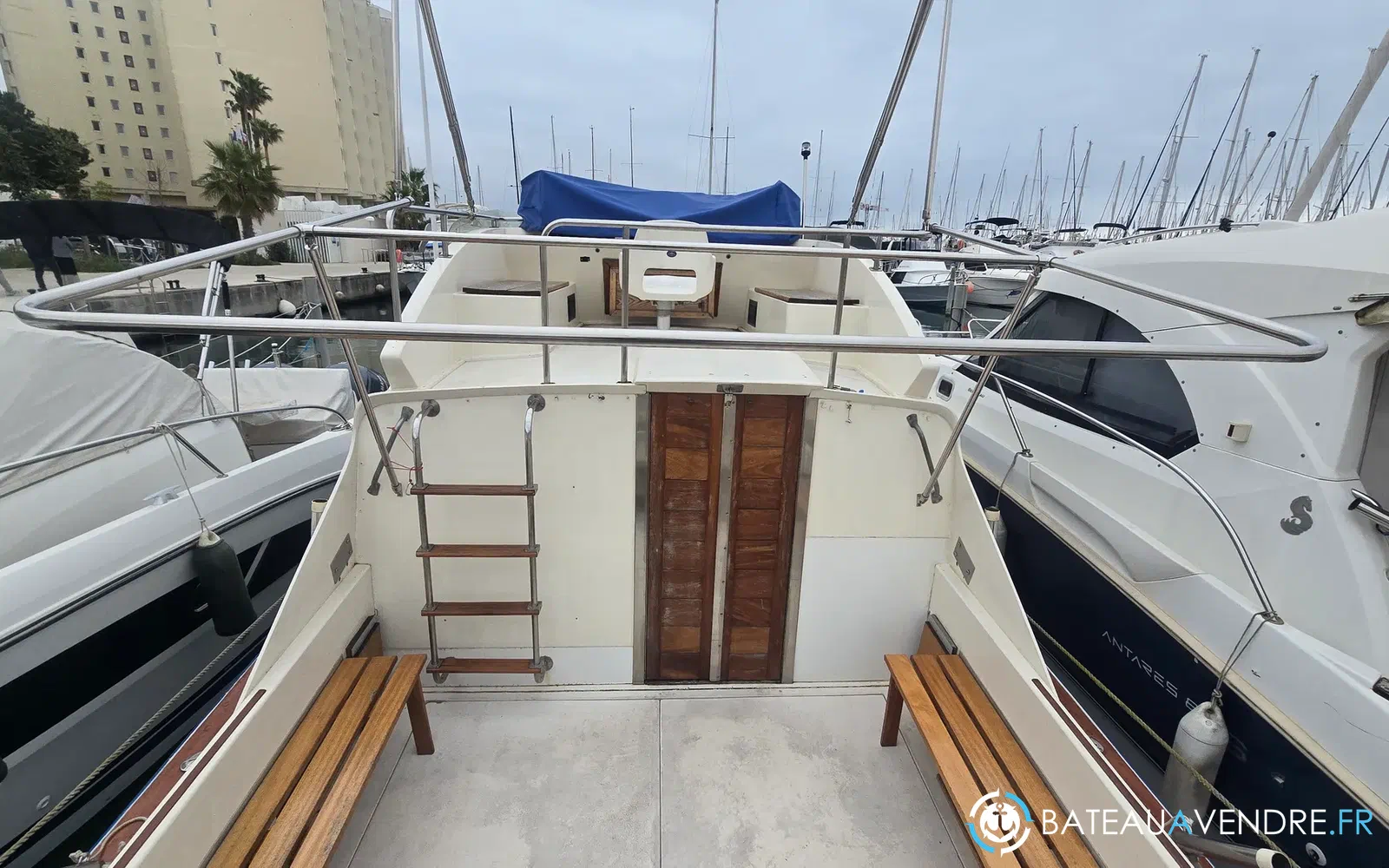 slider 2 Seabird Condor 29