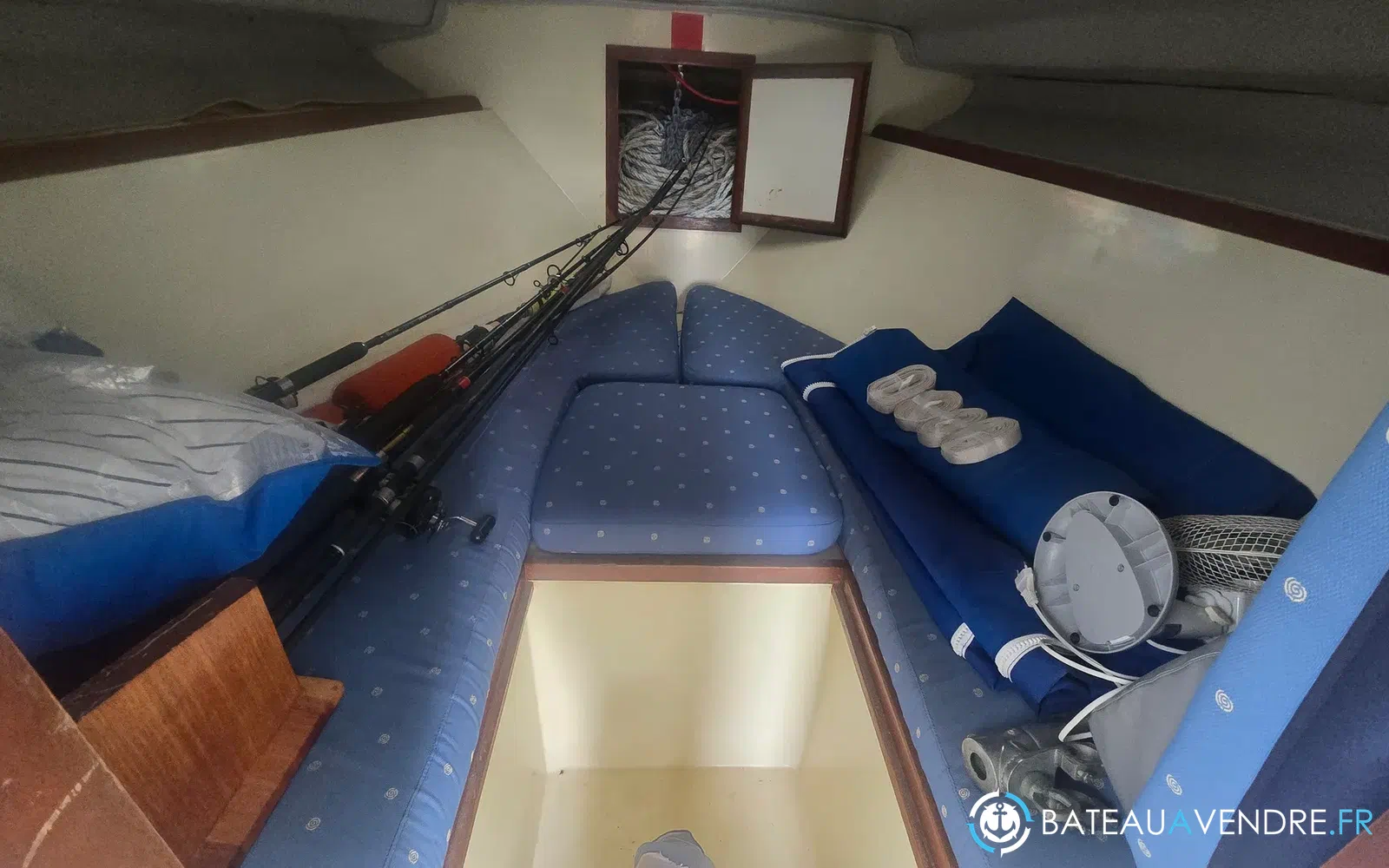slider 9 Seabird Condor 29