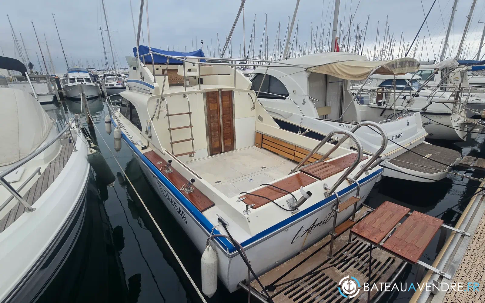 slider 0 Seabird Condor 29