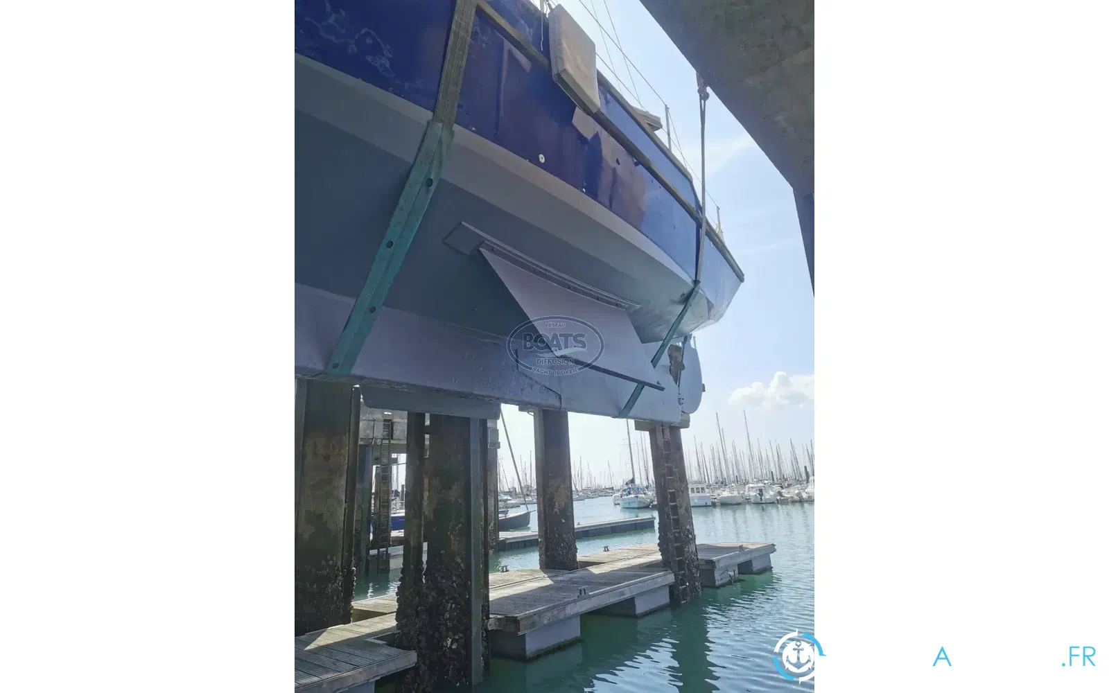 slider 1 Golden Hind 31