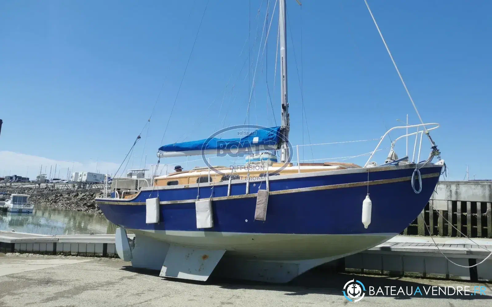 slider 3 Golden Hind 31