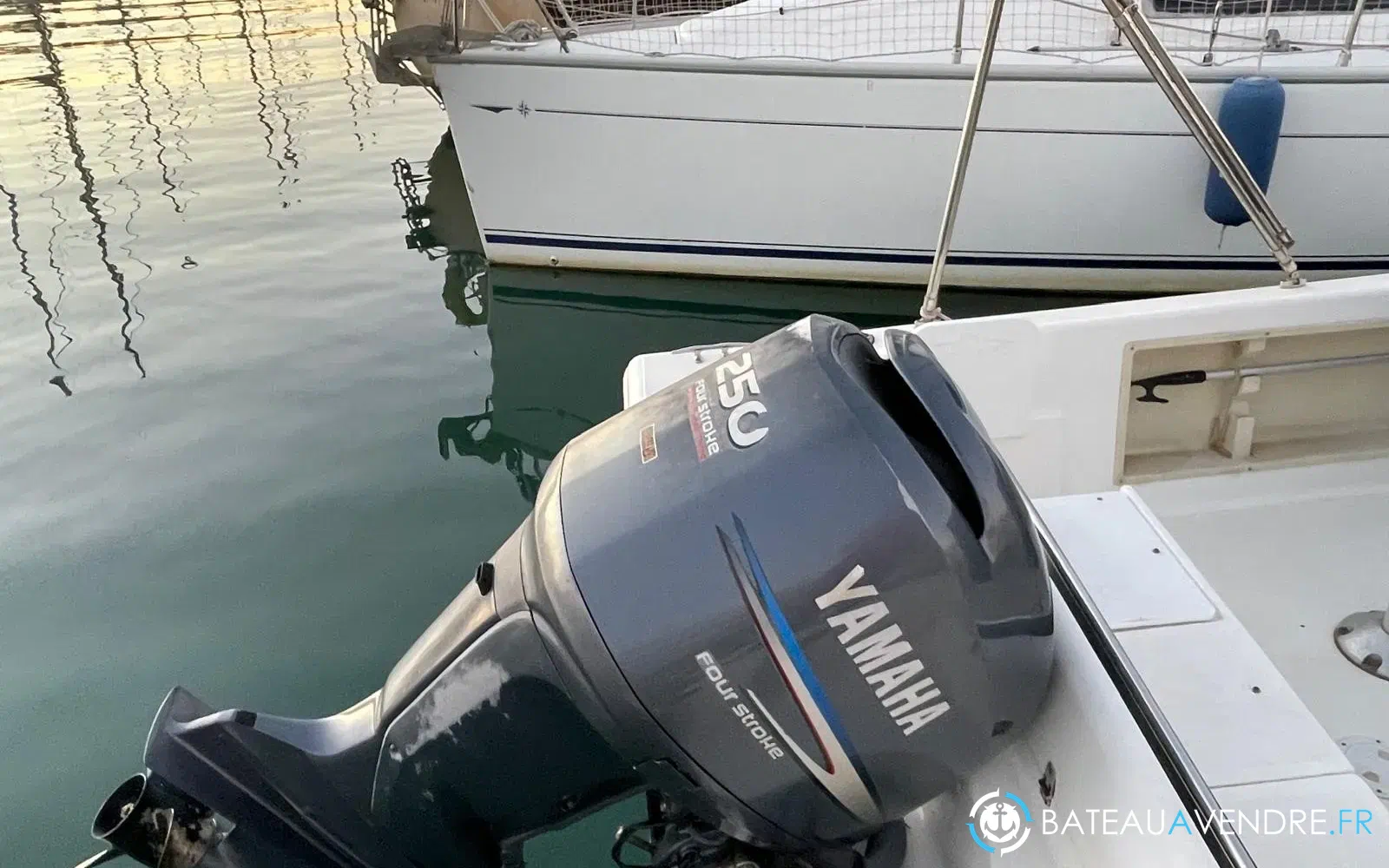 slider 1 Kelt White Shark 225