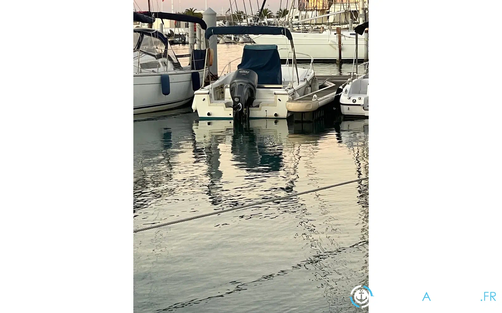 slider 4 Kelt White Shark 225