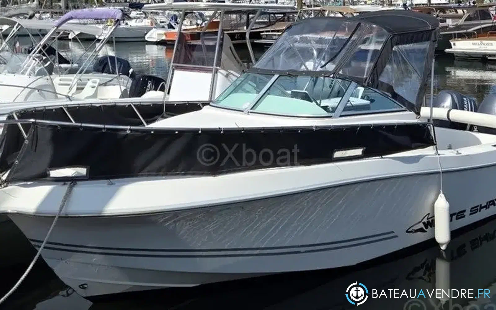 slider 0 Kelt White Shark 236