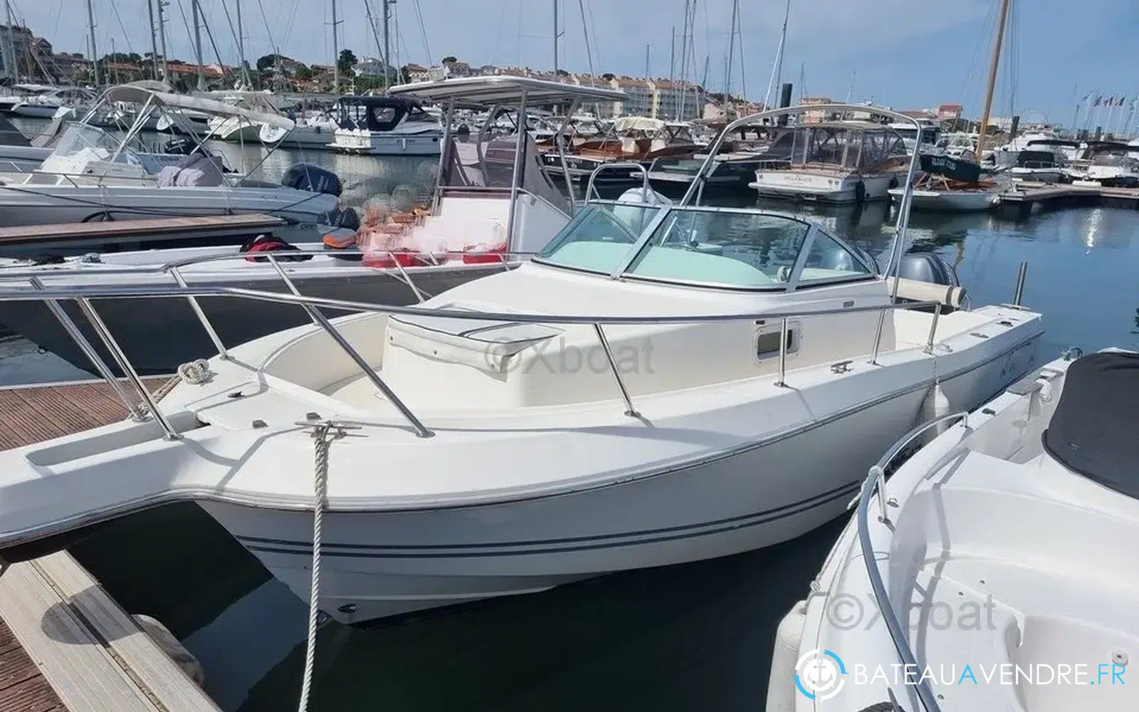 slider 1 Kelt White Shark 236