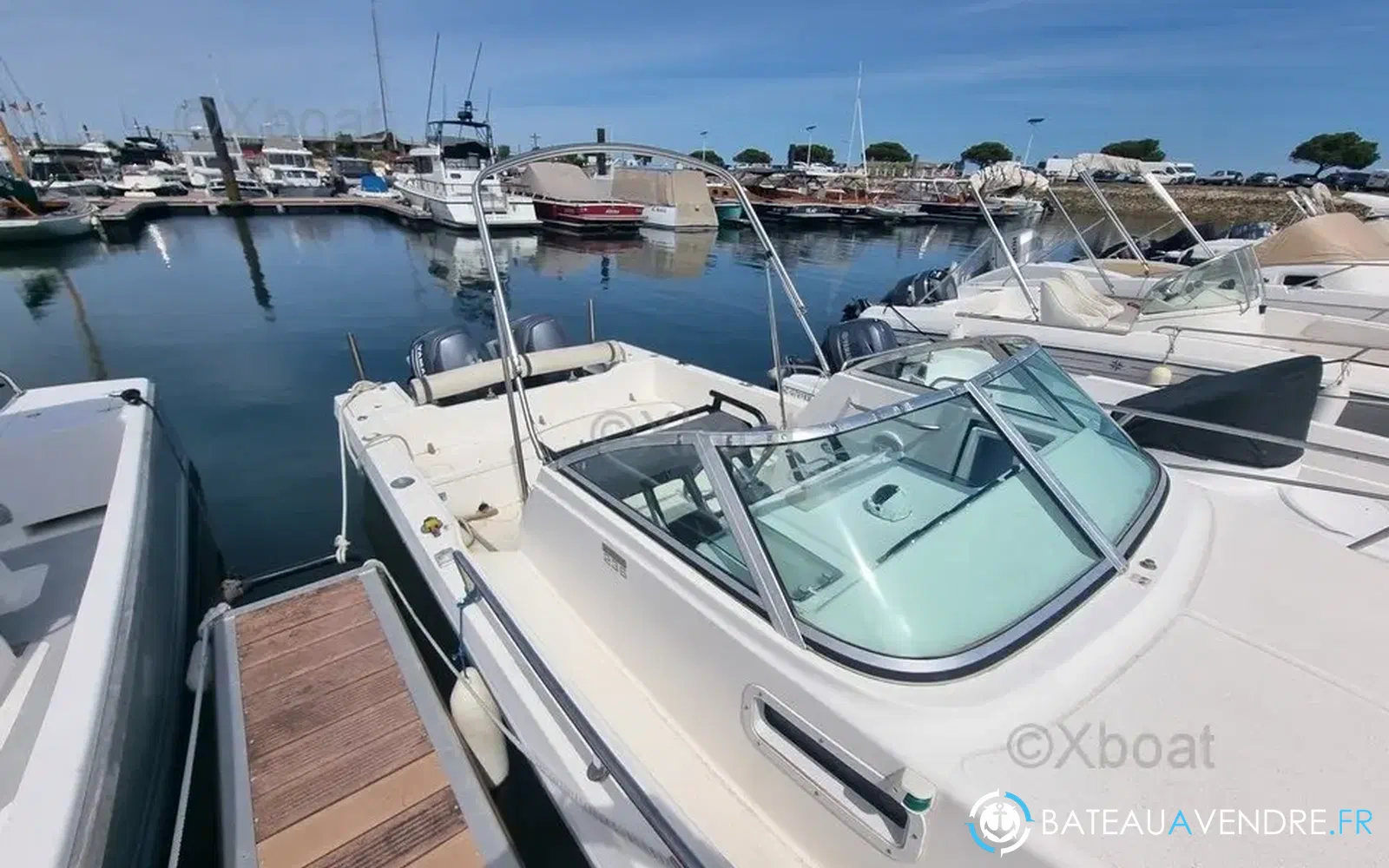 slider 3 Kelt White Shark 236