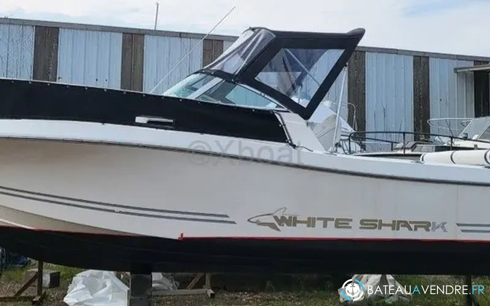 slider 5 Kelt White Shark 236