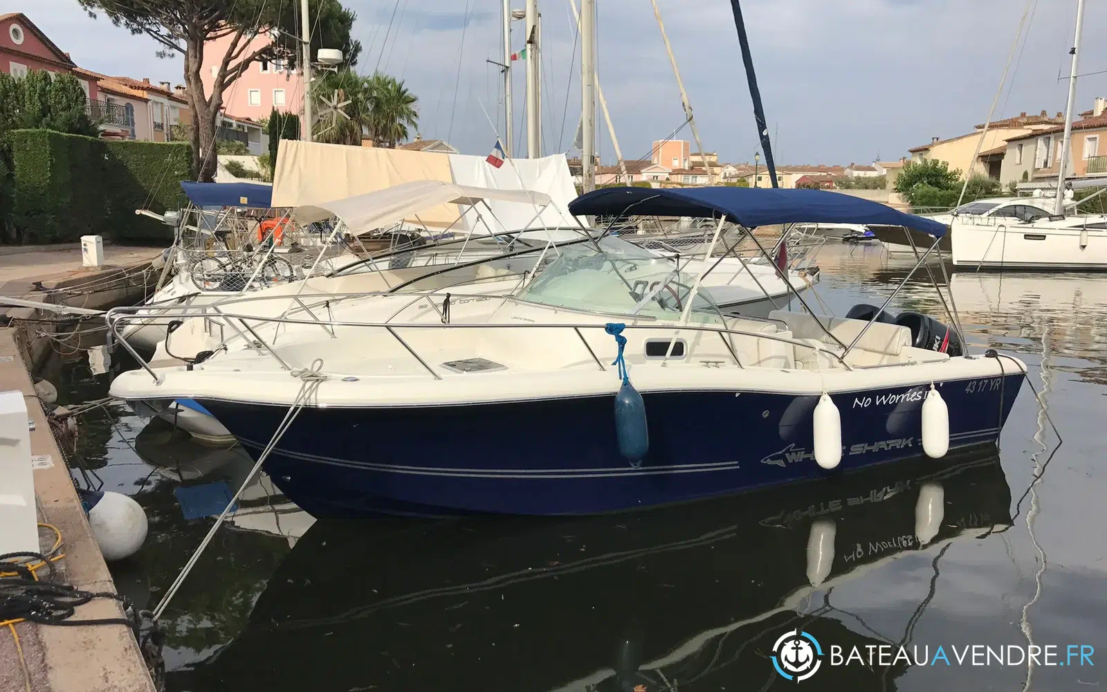 slider 0 Kelt White Shark 268