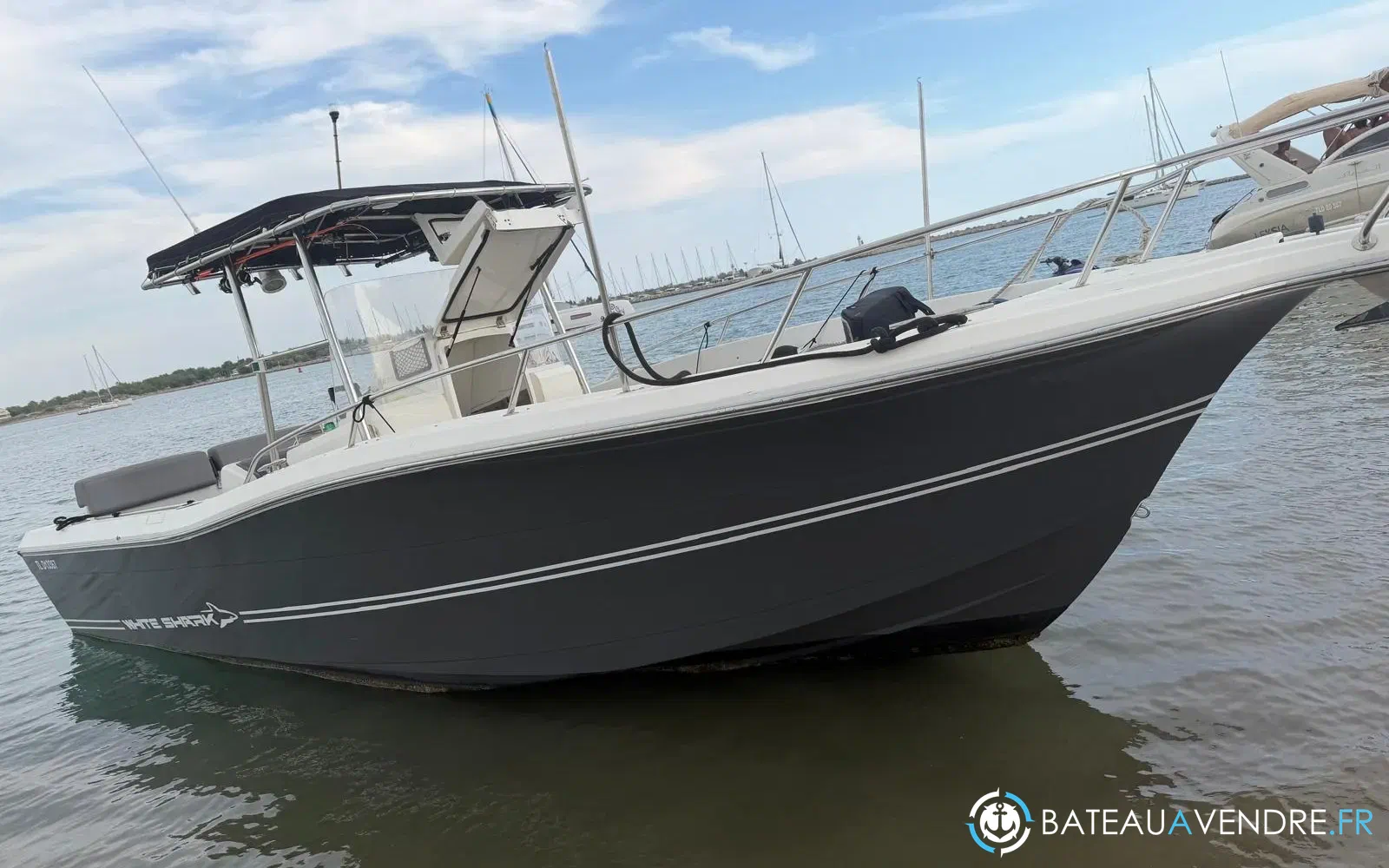 slider 0 Kelt White Shark 285