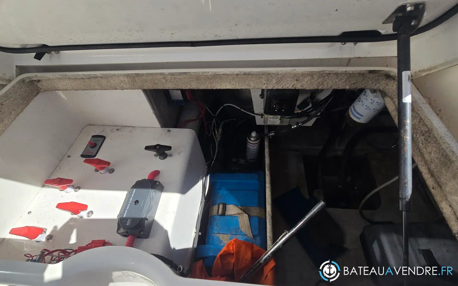 slider 20 Kelt White Shark 285