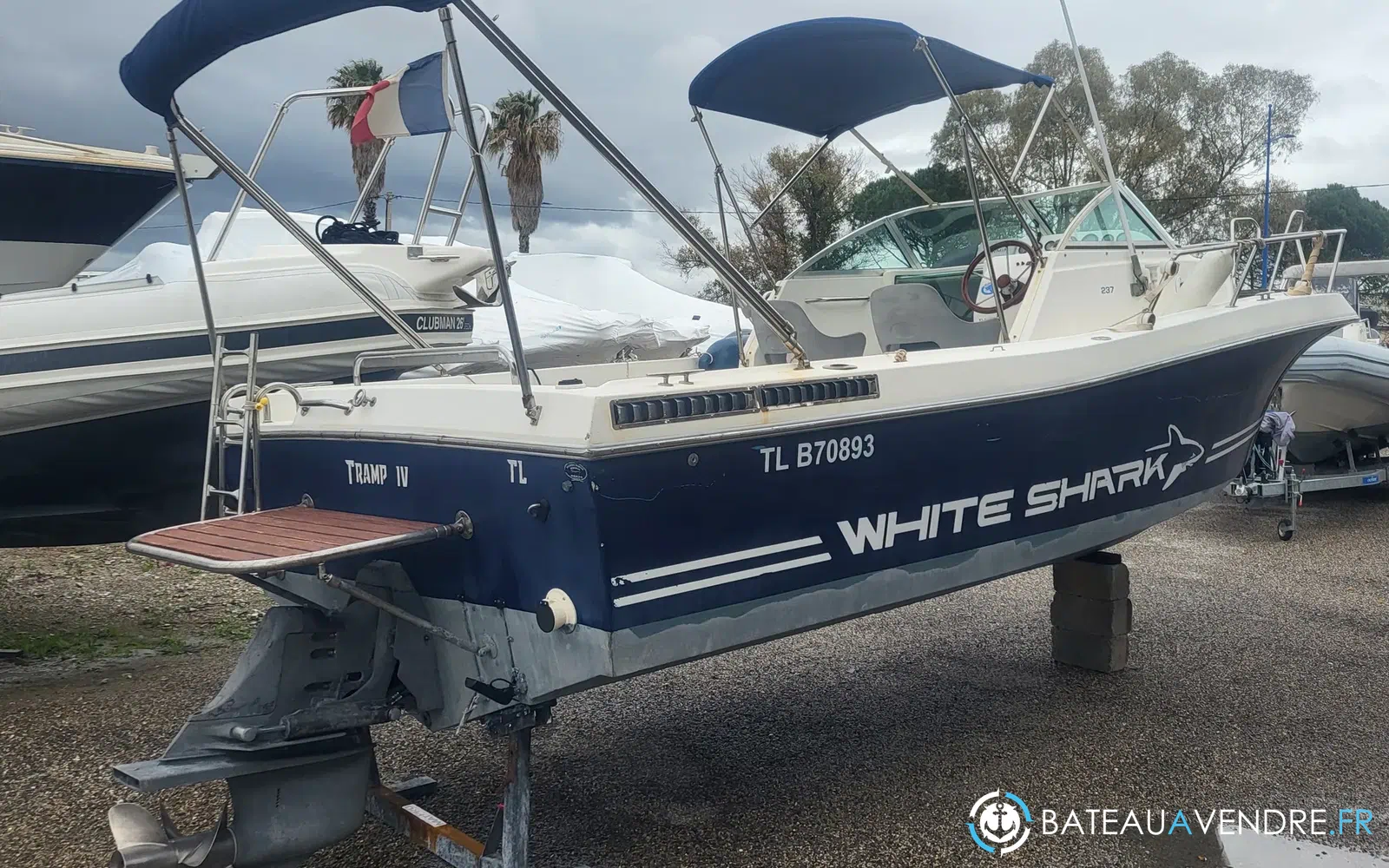 slider 0 Kelt White Shark 237