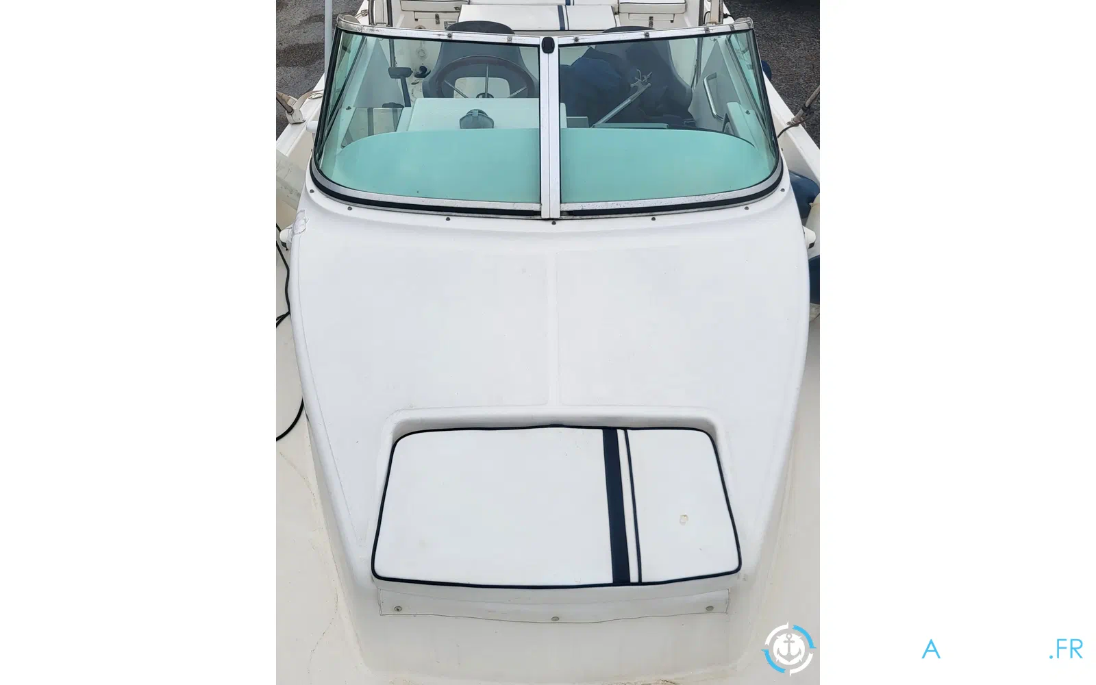 slider 5 Kelt White Shark 237