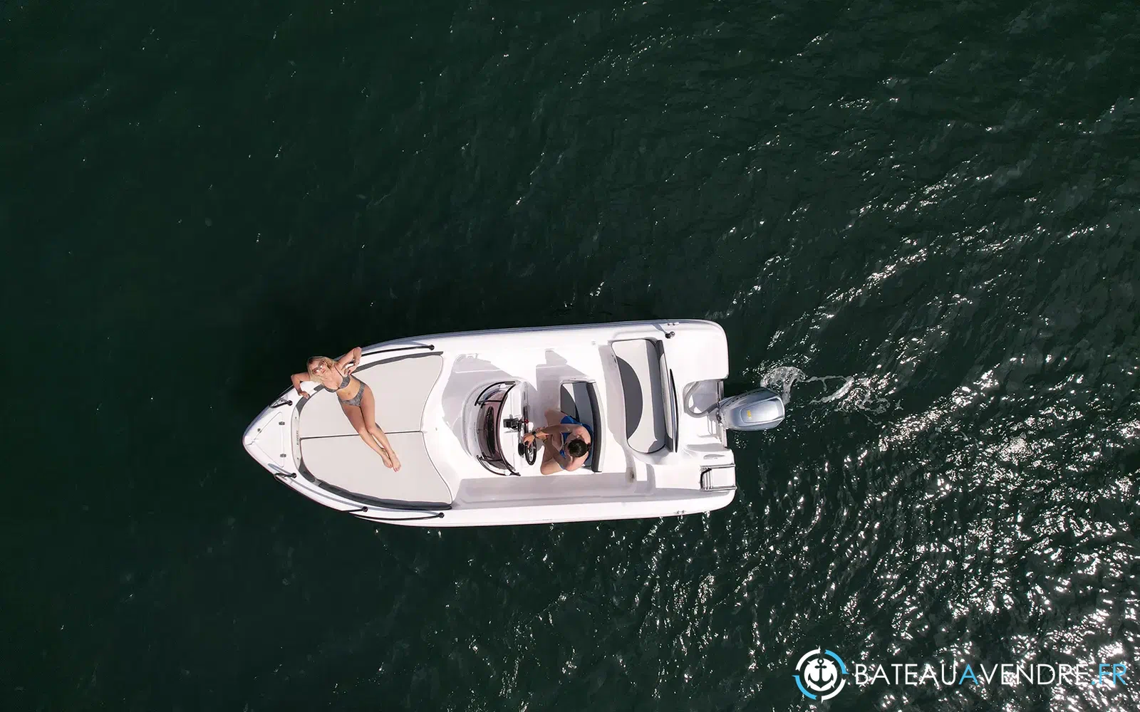 slider 6 Ranieri Shark 19