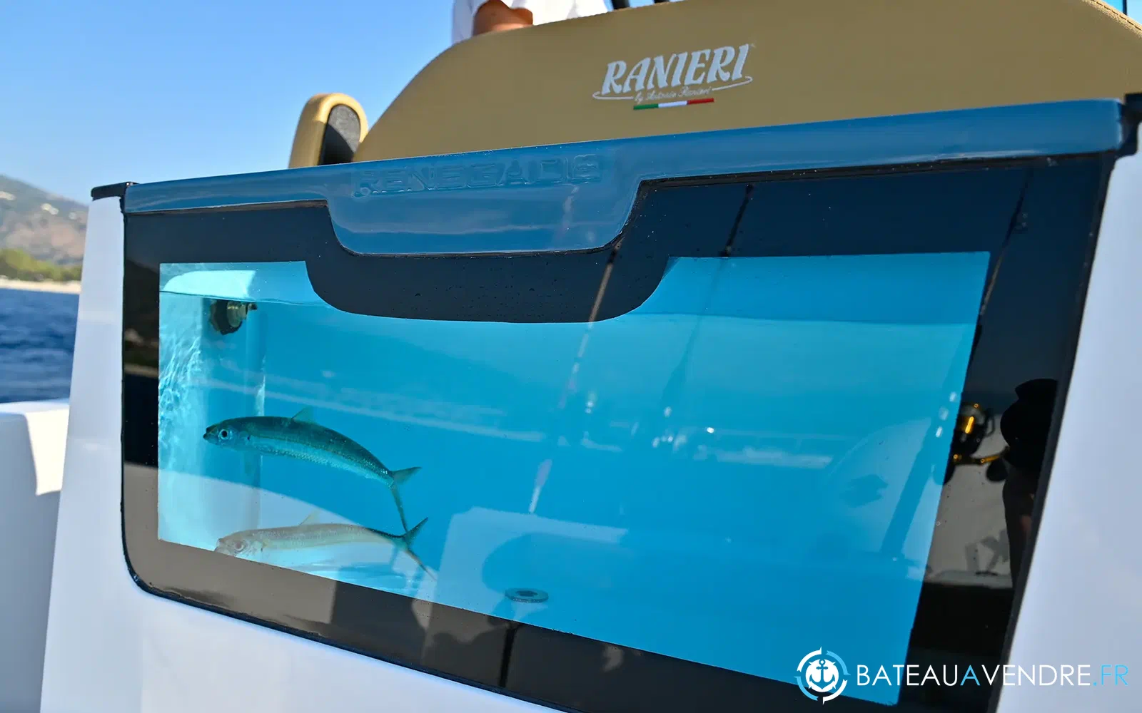 slider 1 Ranieri Renegade