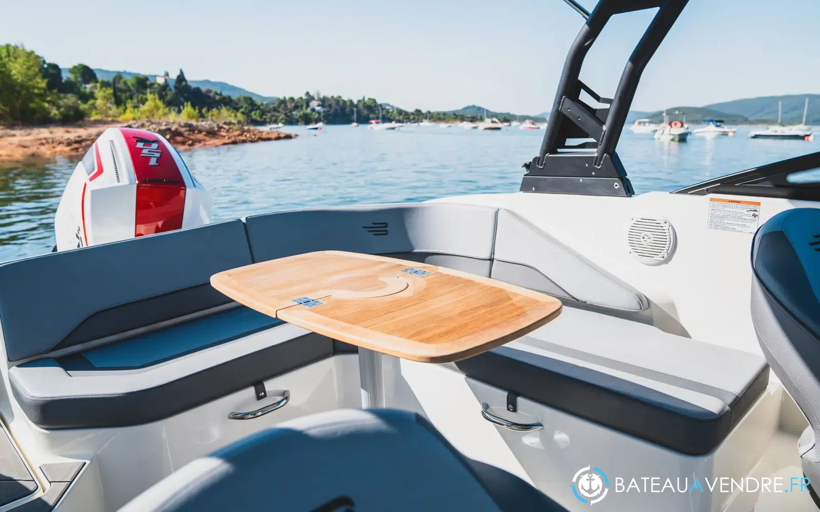 slider 5 Bayliner V20
