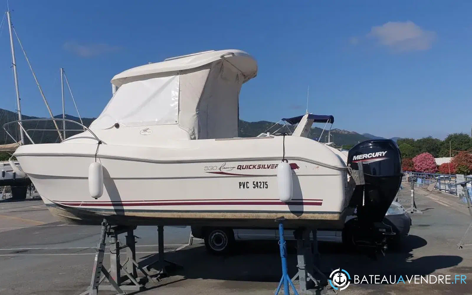 slider 3 Quicksilver 530 Flamingo