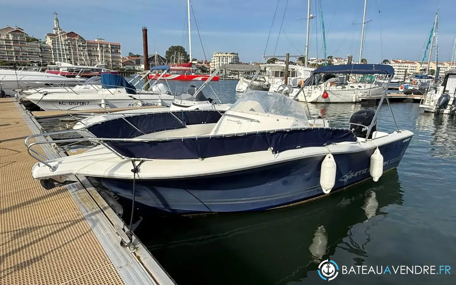 slider 1 Kelt White Shark 228