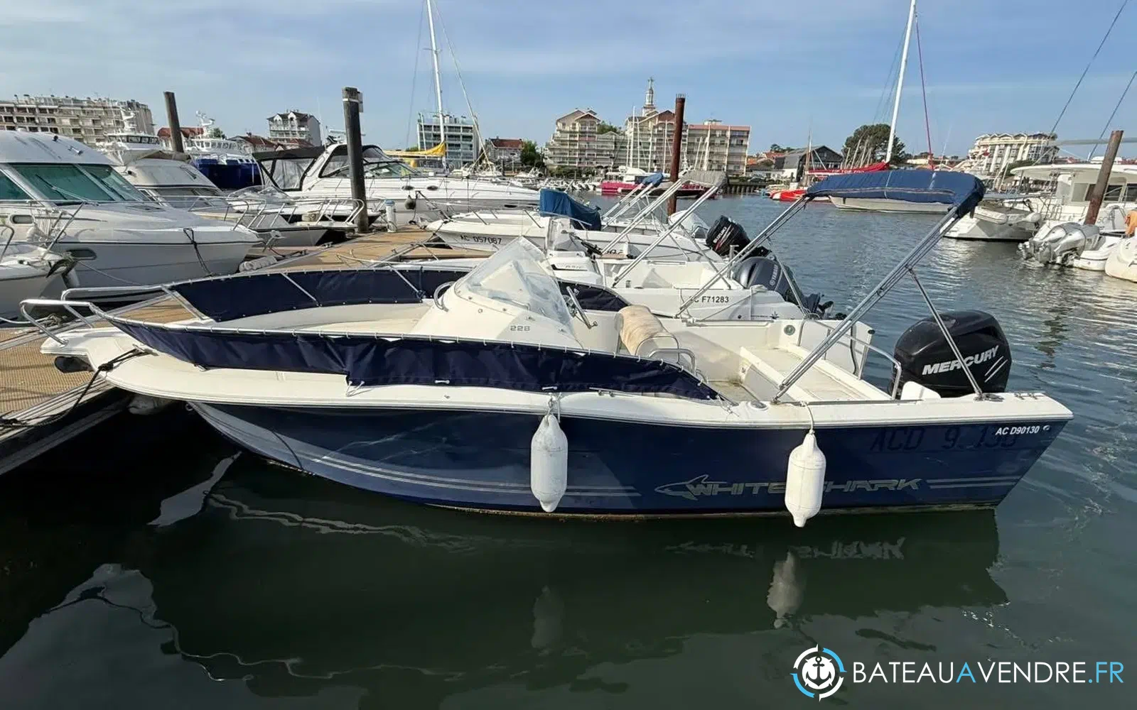 slider 2 Kelt White Shark 228