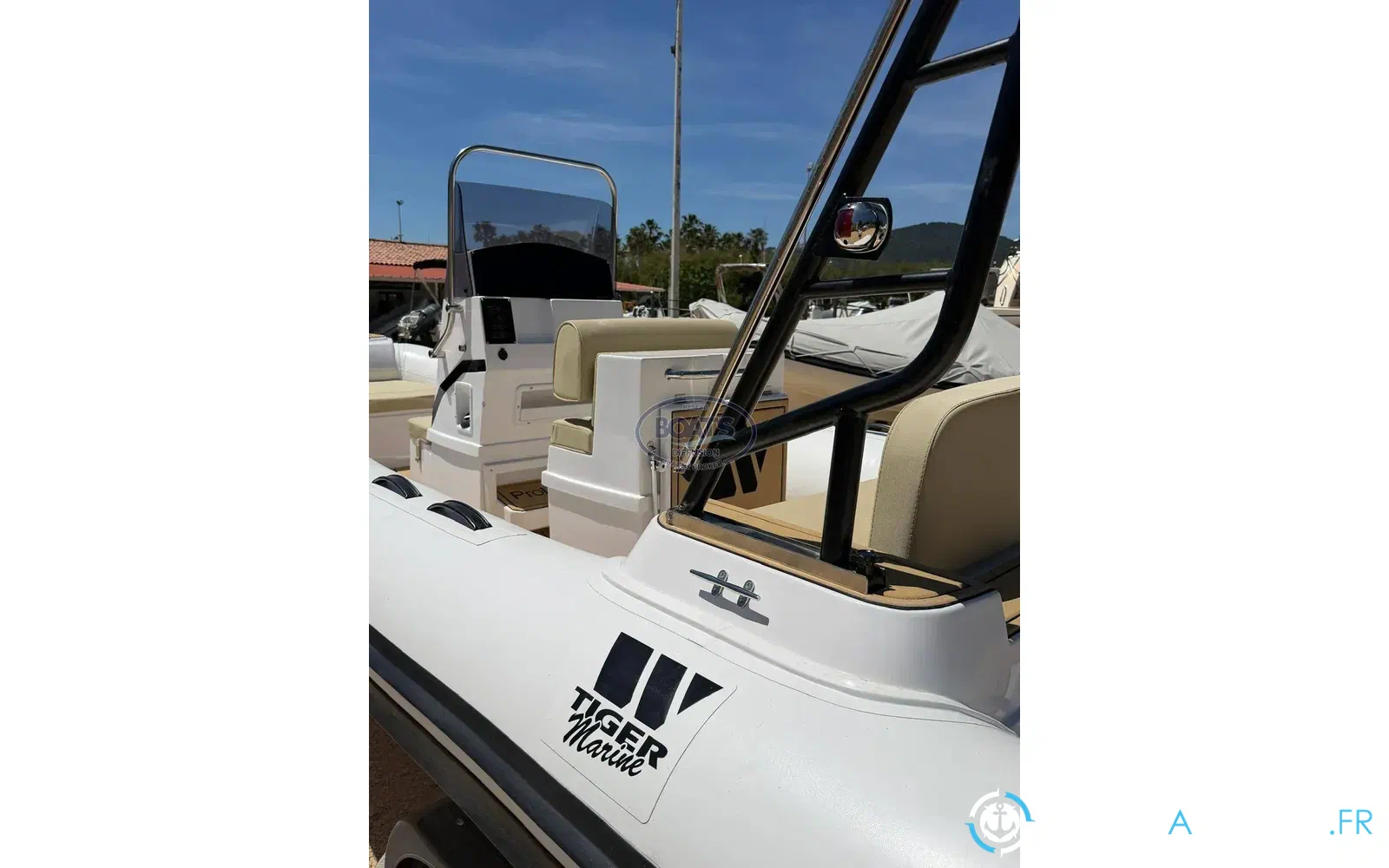 slider 8 Tiger Marine Pro Line 550
