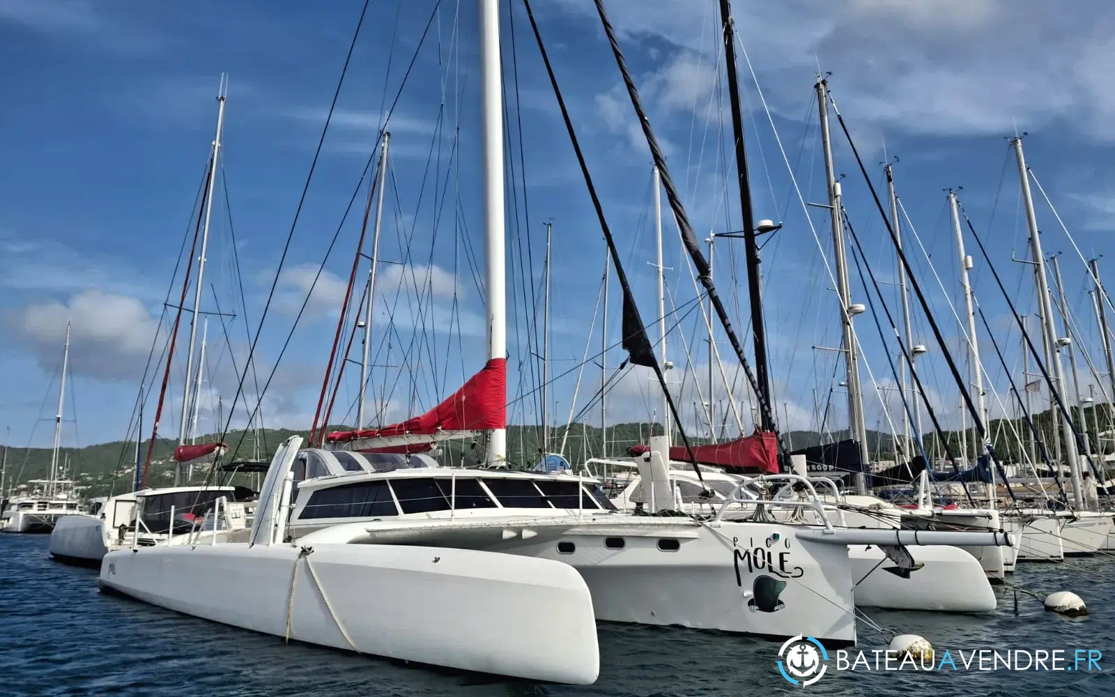 slider 0 Rapido Trimarans RAPIDO 53XS