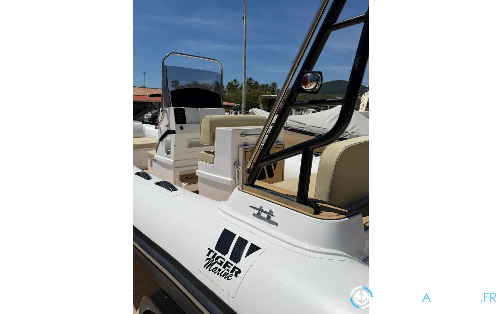 slider 13 Tiger Marine Pro Line 550