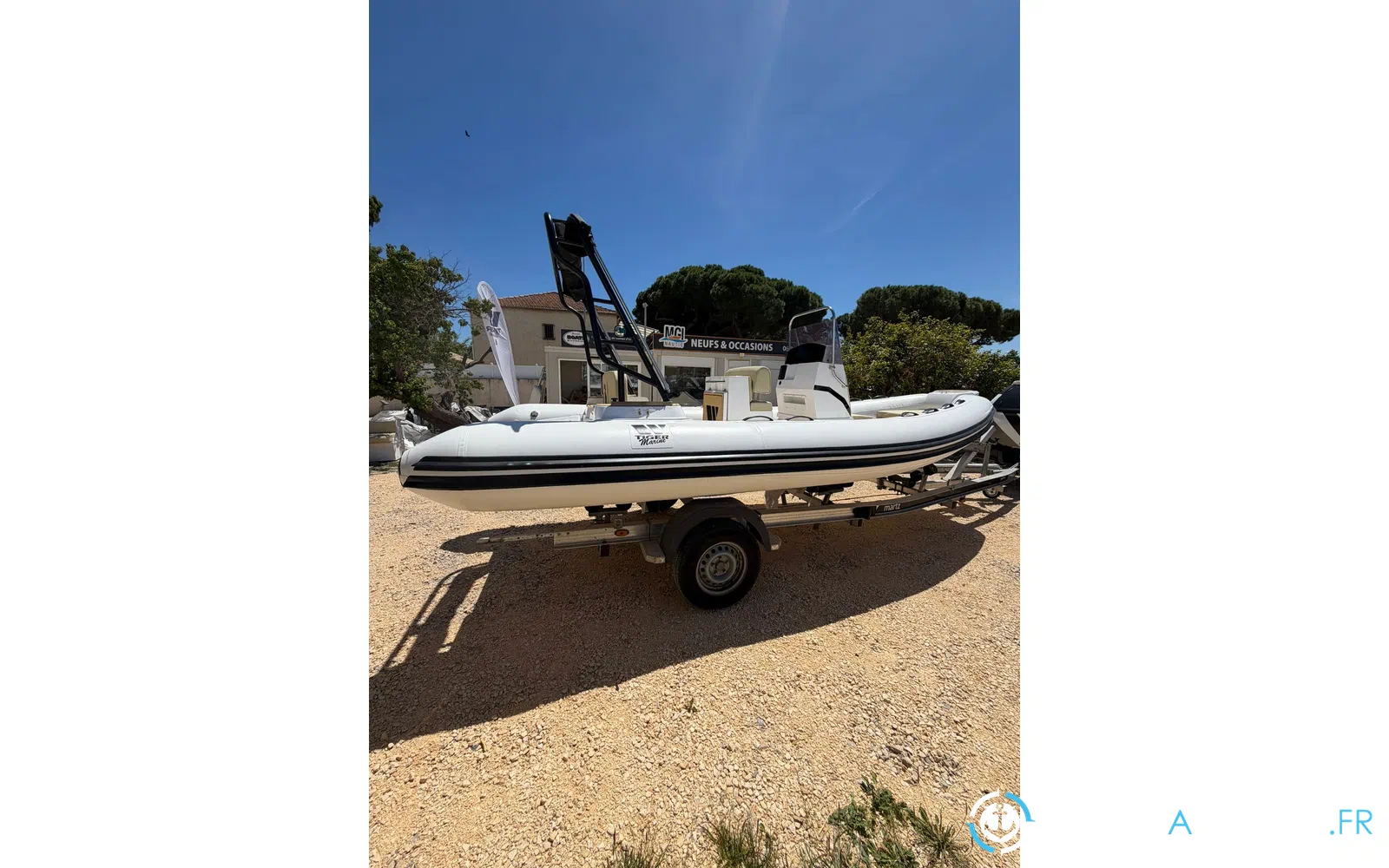 slider 16 Tiger Marine Pro Line 550